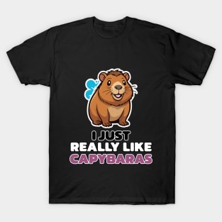 Capybara Enthusiast - I Just Really Like Capybaras T-Shirt